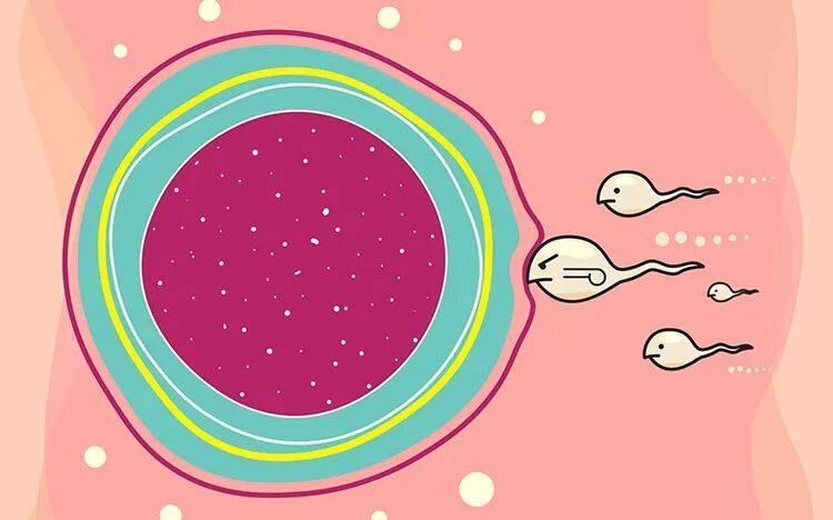 做好这5方面准备,春季备孕可事半功倍