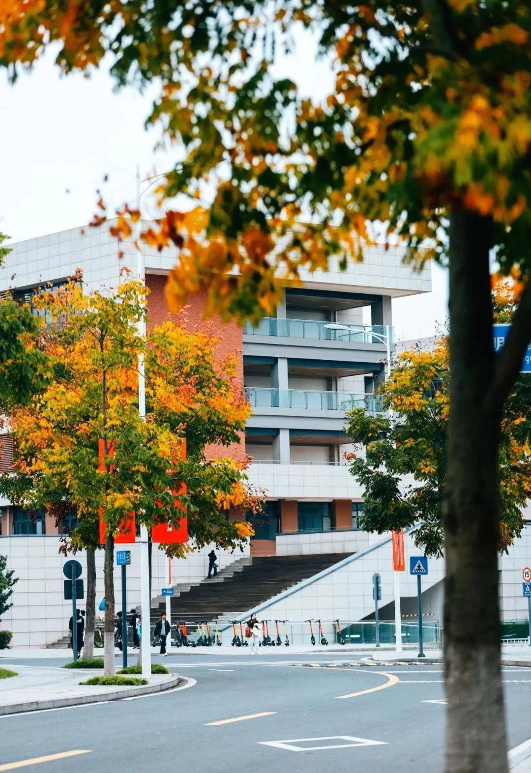 文章配图-3