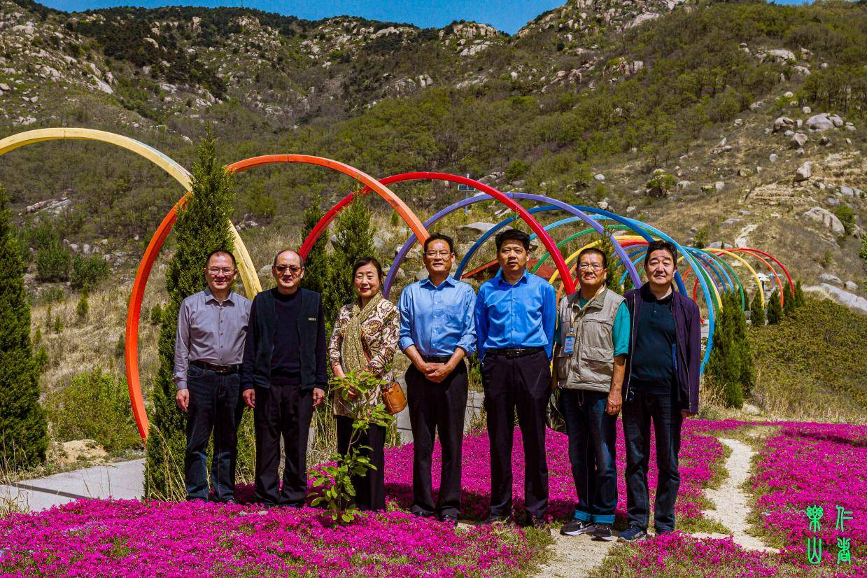 《印象沂源》304季 难舍山间那一抹艳艳的红……