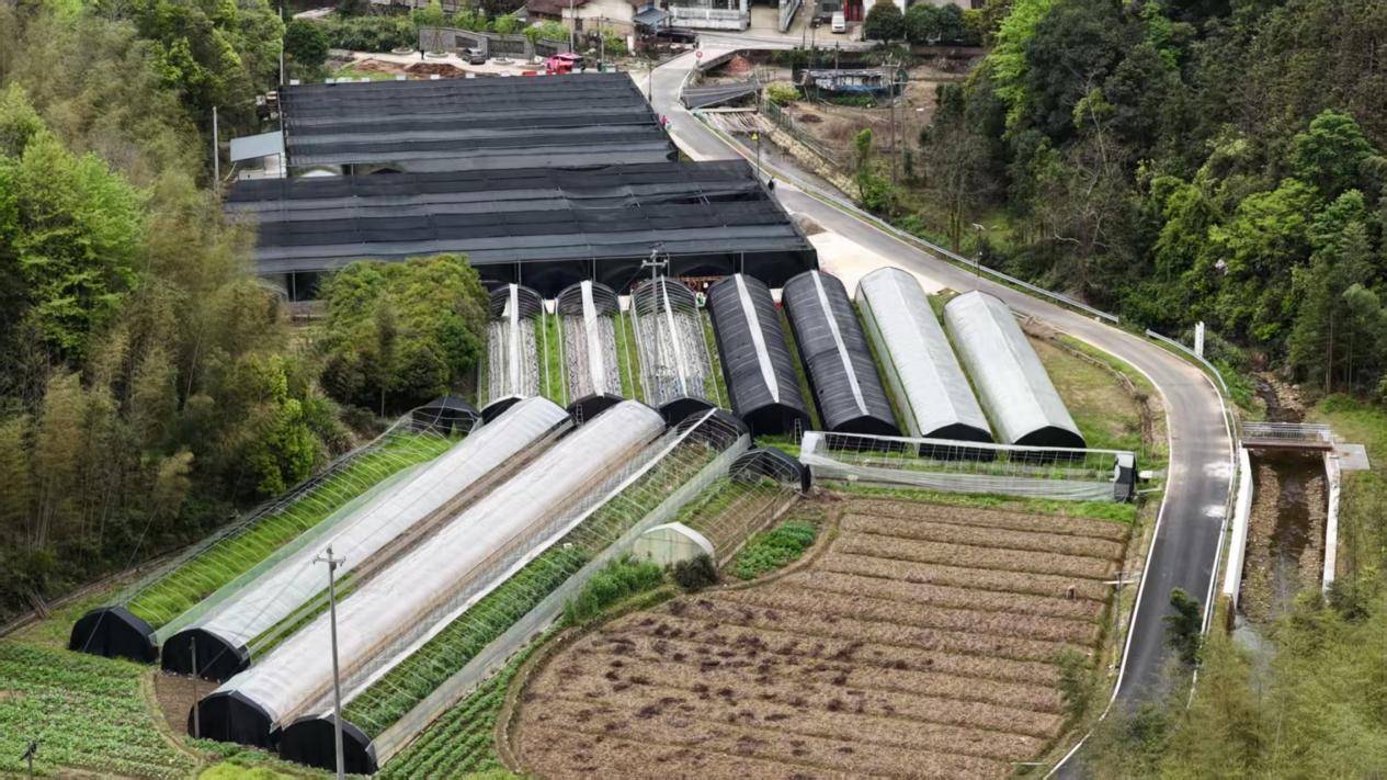 共富之约：浙江生动作答，解码共富密码