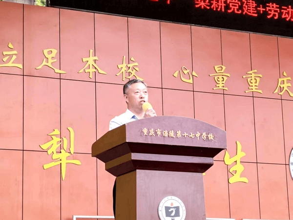 深耕田园践党性 躬身插秧悟初心(图5)