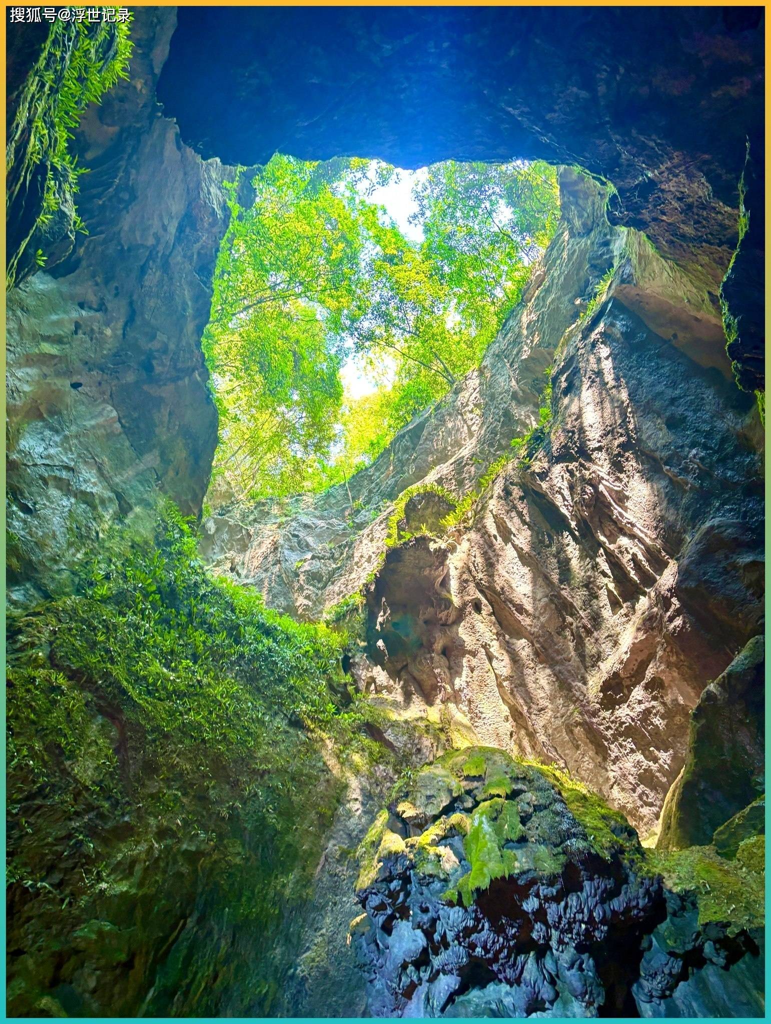 杭州西溪湿地水谈交错，划子逐渐行驶，芦苇随风摇曳，江南湿地痛快，高清照相