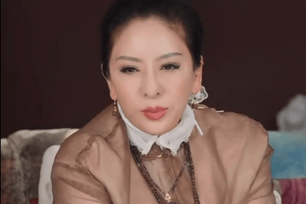 向太谈儿媳标准：看重能否让儿子变好，透露向佑近况引关注