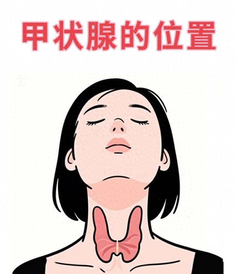 甲状腺癌可防可控可治，这些防控要点请收藏