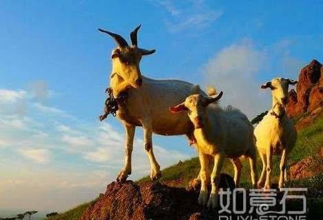 生肖流年运势理会_乙未年天干地支影响_流年天干地支关系