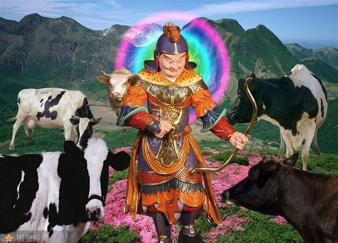 生肖流年运势理会_乙未年天干地支影响_流年天干地支关系