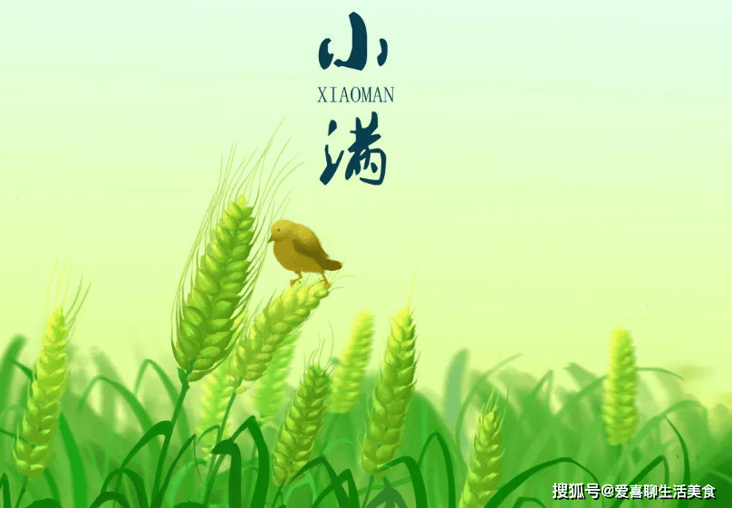 原创            小满前后，要懂得忌嘴，牢记“1不做2不吃吃3样”，为盛夏做准备！