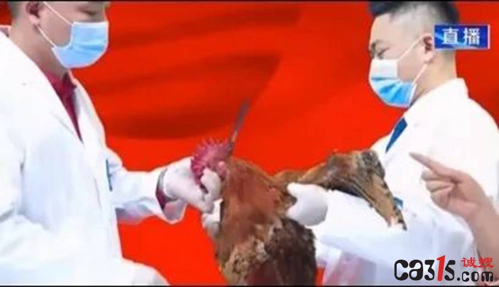 鸡头被捅一刀灌点神药能起死回生?普通氨基酸吹成包治百病(图3) 文章配图-1