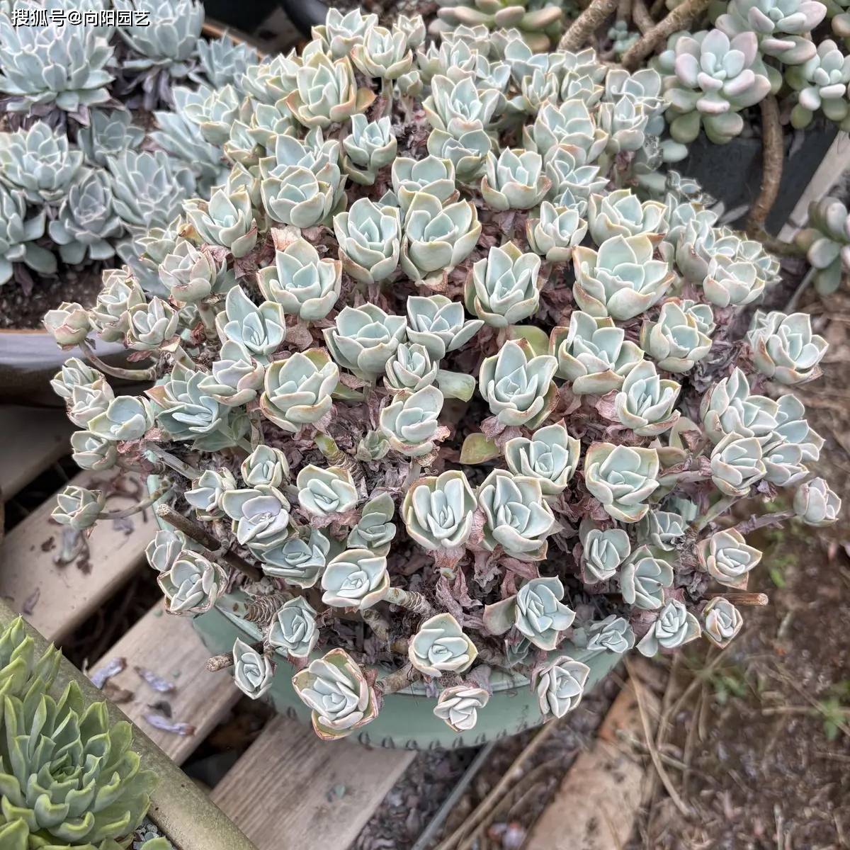 ������ͼ-1