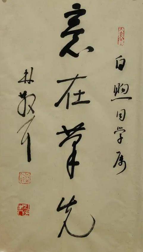 文章配图-12