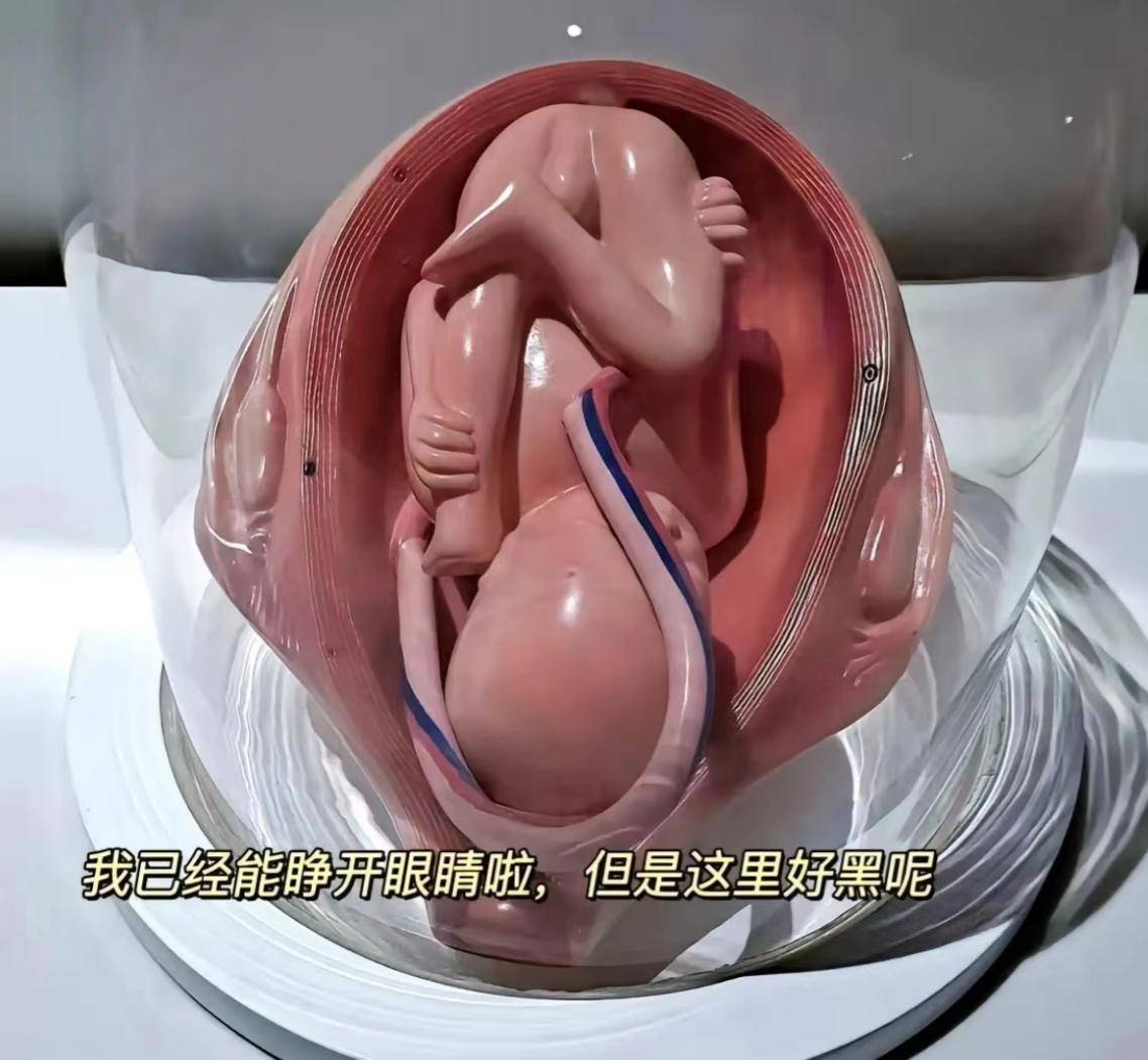 怀孕不是“肚子变大”那么简单!