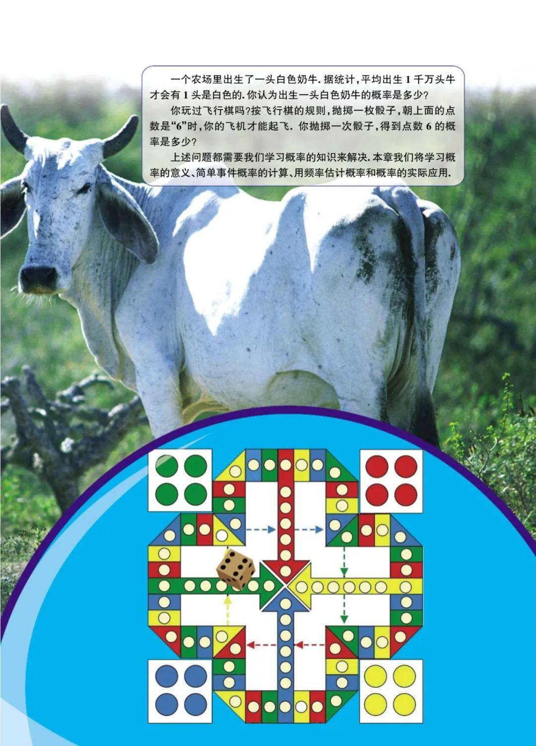 文章配图-35