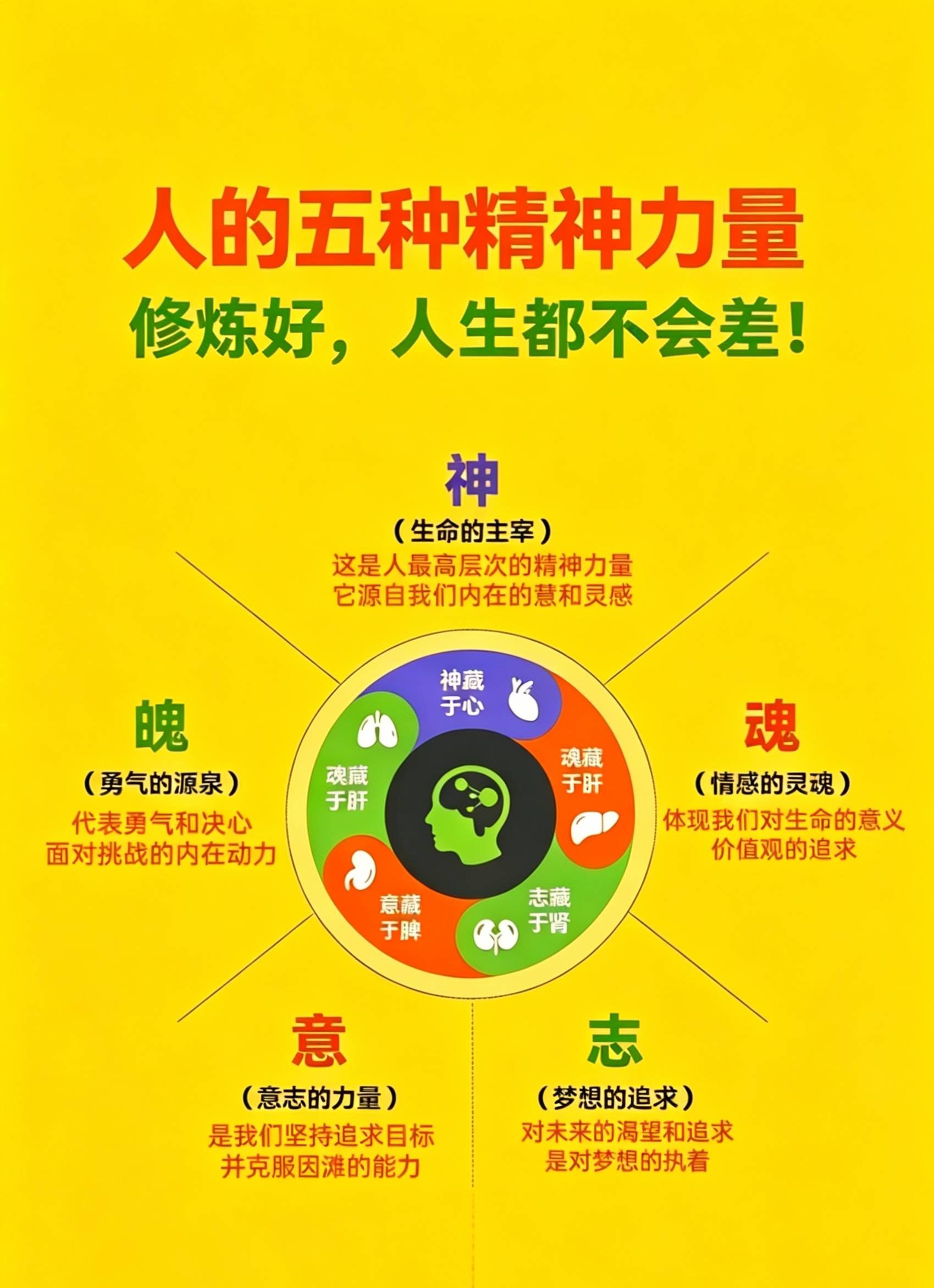 读懂身心内在五种精神力量，修好神魂魄意志，成就通透圆满人生