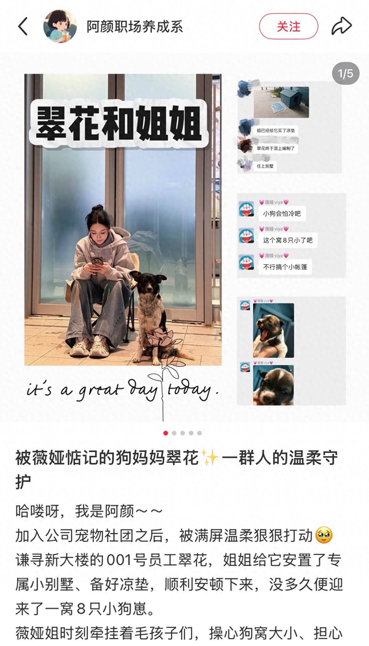 文章配图-1