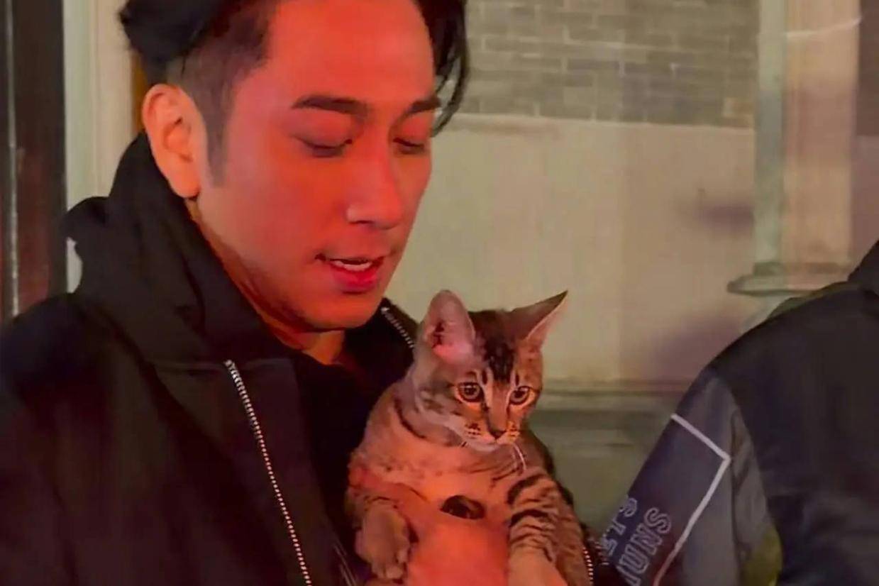 港媒曝吴卓羲与TVB花旦张曦雯疑似恋爱 猜测二人定情信物是一只猫