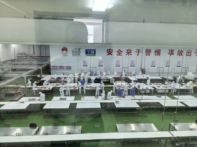 沪宁携手深化产业对接 上海考察团莅临盐池鑫海集团考察调研并达成合作共识(图3) 沪宁携手深化产业对接 上海考察团莅临盐池鑫海集团考察调研并达成合作共识(图3)