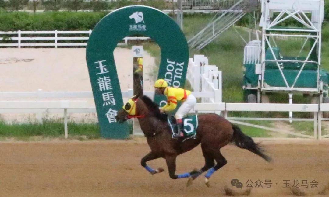 文章配图-1