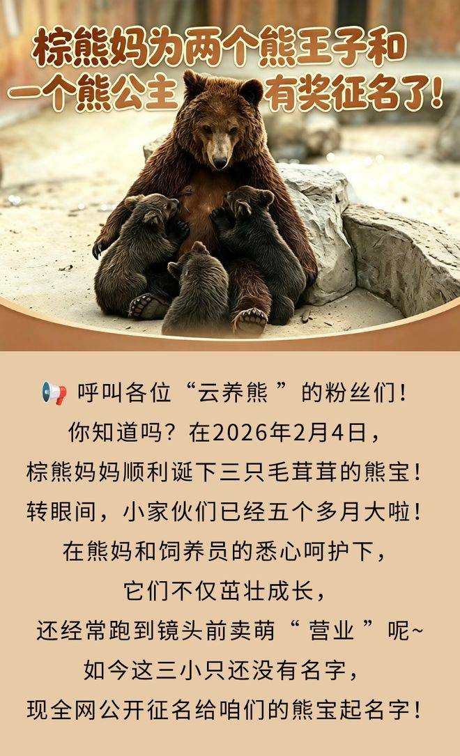 文章配图-2