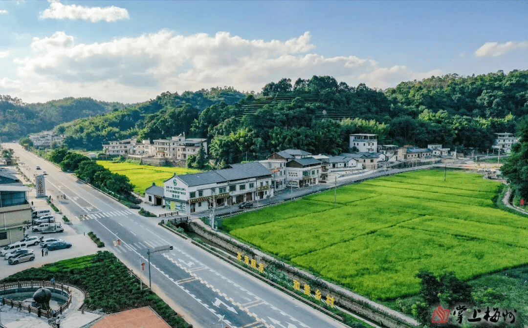 梅州兴宁市径南镇：以“土特产”文章赋能“百千万工程”(图1)