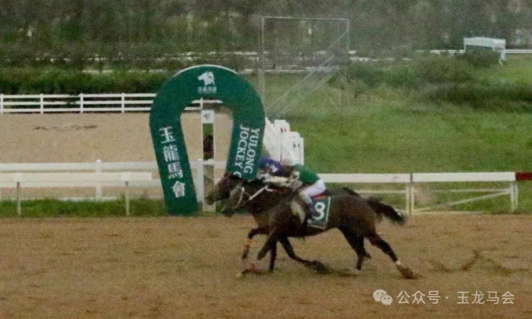 文章配图-3