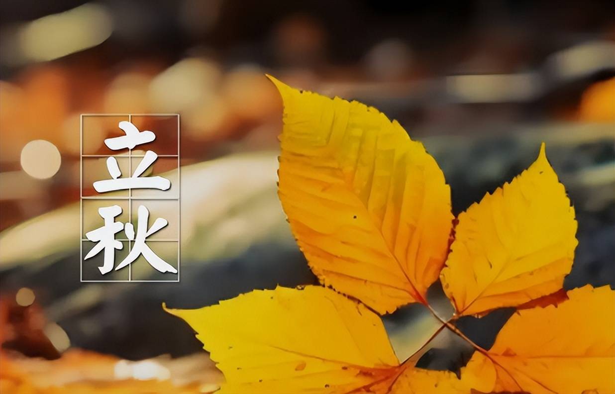 原创            立秋将至，建议男人常吃3种“健腰菜”，否则容易疲劳没力气！