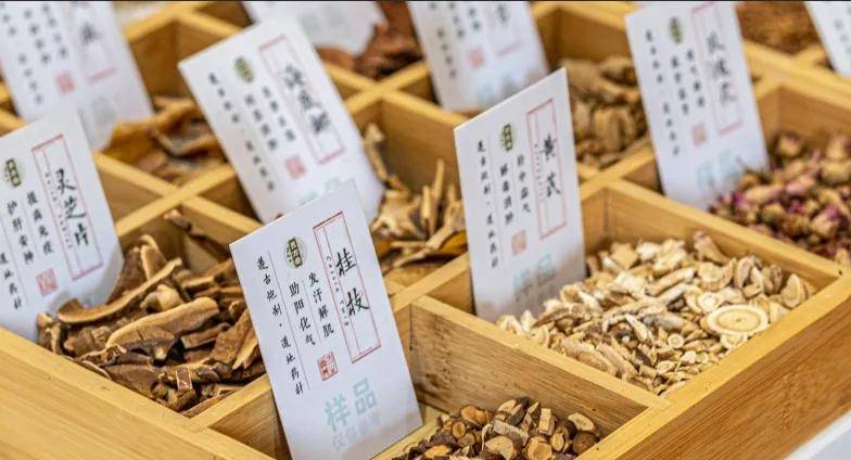 男子阳痿举而不坚怎么办？南昌贡方堂老中医陈顺涛一个经典方，把亏掉的油加满