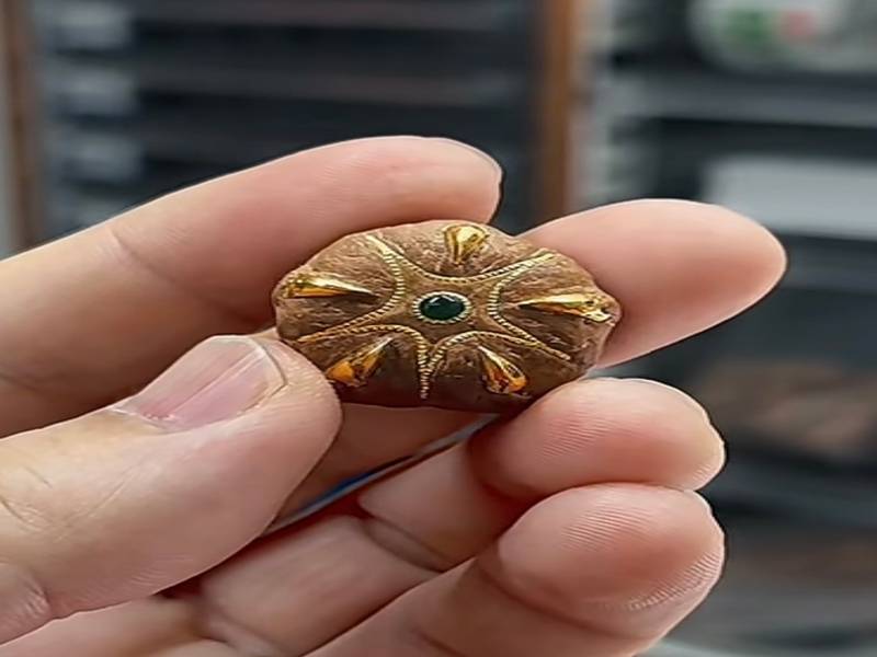 什么是五星菩提 文玩收藏有哪些注意要点