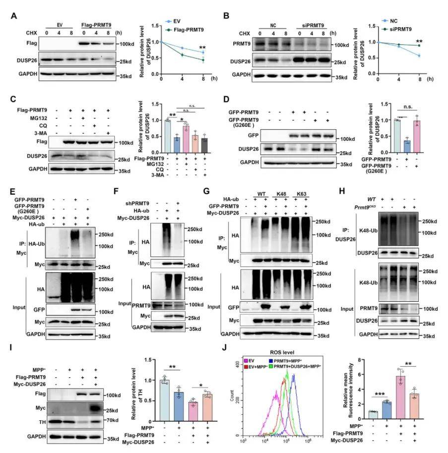 ������ͼ-1