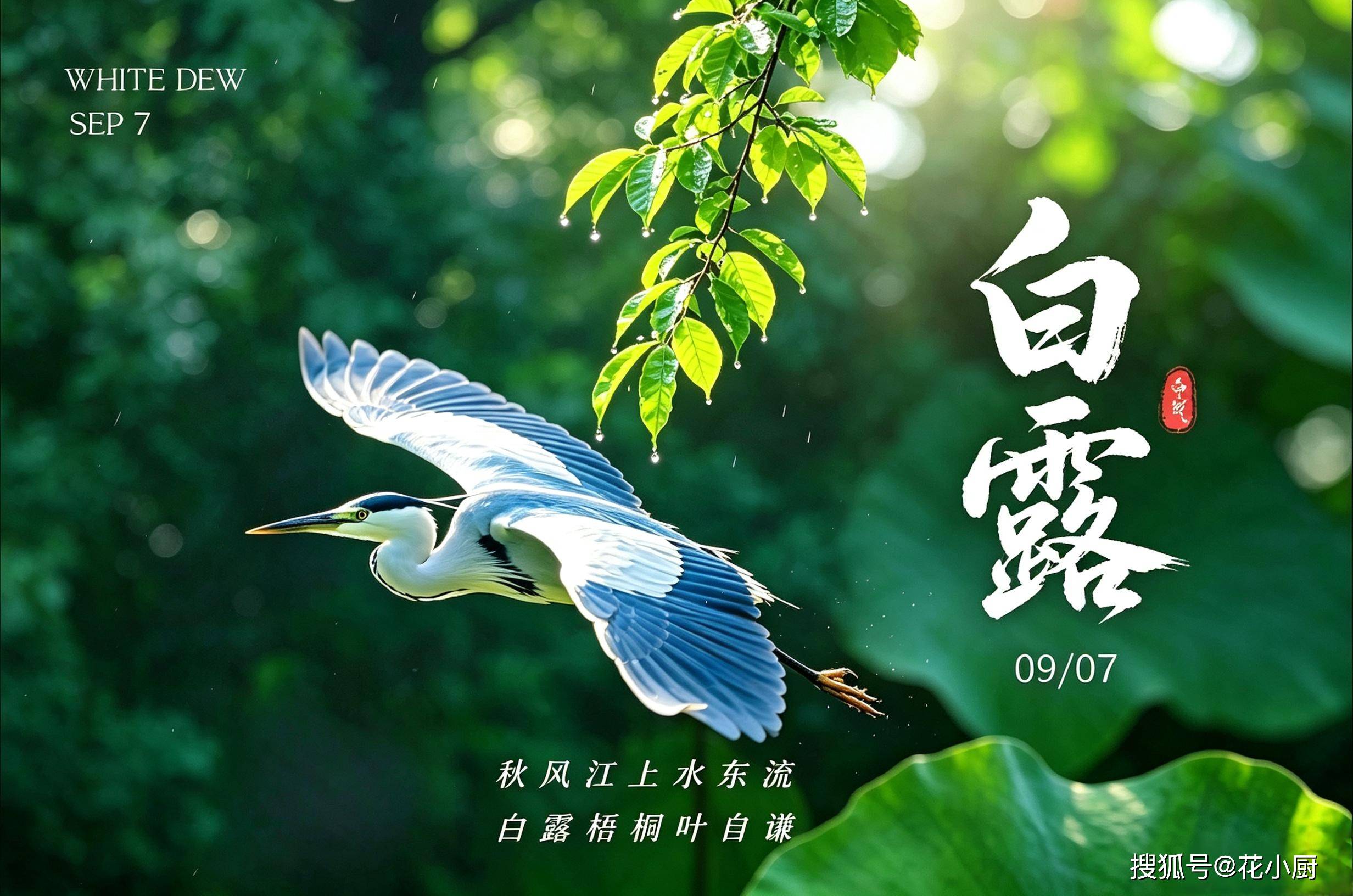 原创            白露后，要懂得忌口！少吃苦瓜，多吃4样，营养降秋燥，不伤脾胃