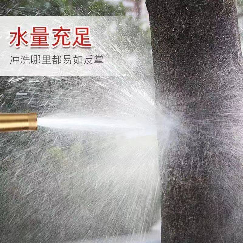 文章插图