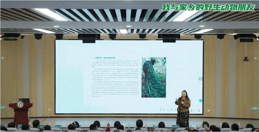 图片5