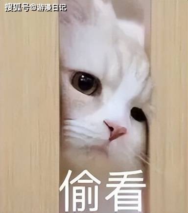 文章配图-1