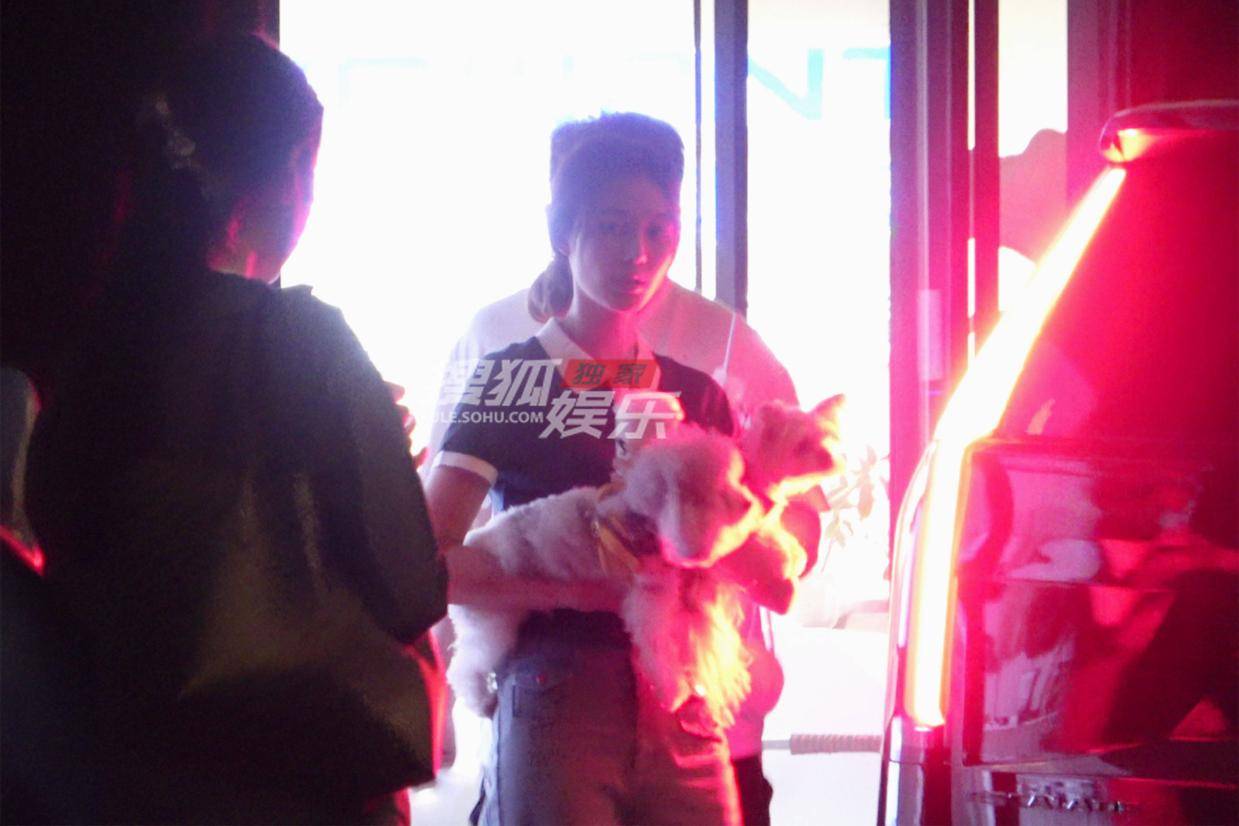 徐艺洋下班怀抱萌犬，私服造型清爽温柔尽显治愈魅力
