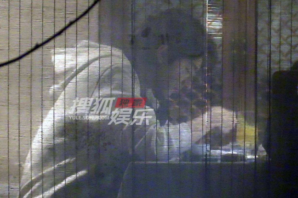 林一聚餐专注干饭 萌态可掬成焦点