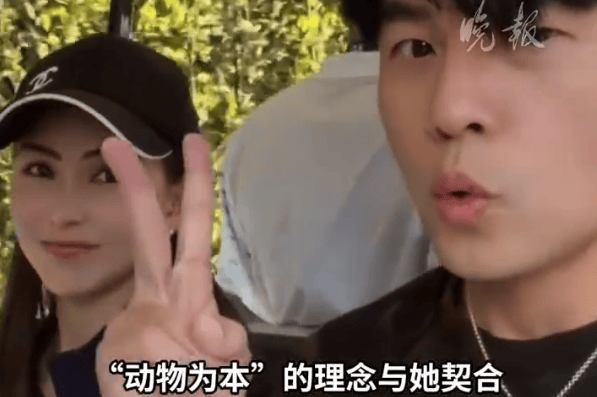 周杰伦一家认养长颈鹿夫妇，红山森林动物园致谢并承诺善待