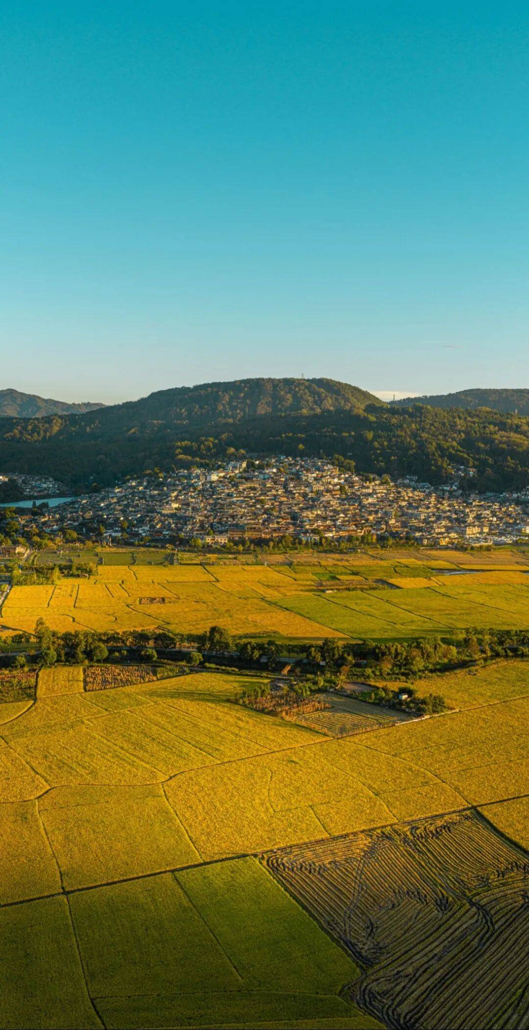 文章配图-1