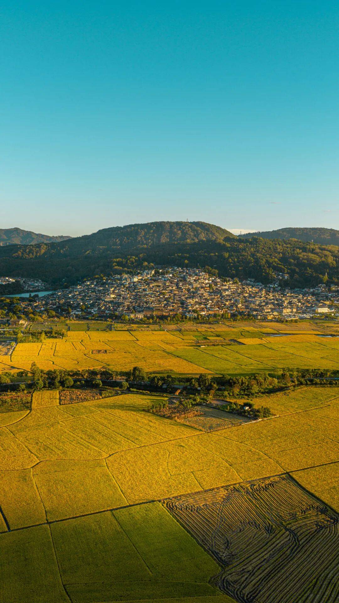 文章配图-1