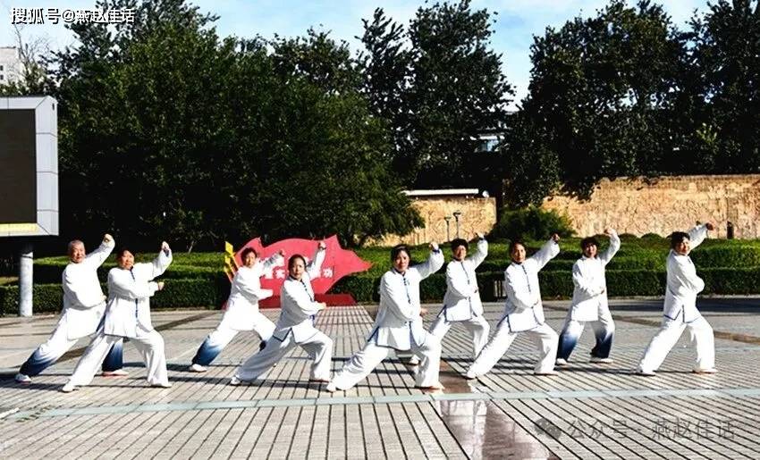 峰峰武协各分会专访(六)秀水花园太极拳分会专场演出(图14)