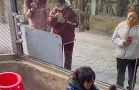 女饲养员与200斤棕熊“打架”引网友担心，当事人：我和它天下第一好