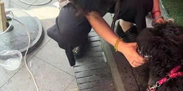 顶部图片