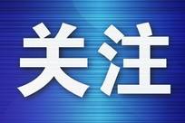心疼业务员离异带娃，60岁阿姨买保险支持，结果手机被转走200万