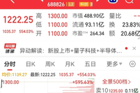 A股年内最贵新股上市 大涨超500%