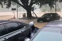 海南五指山市持续暴雨 市民称主要街道被淹 市应急局：正在有序救援 暂未收到人员伤亡报告