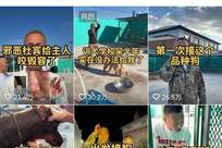 网红训狗师潘宏因“小宝死亡案”终审败诉 被判公开道歉并赔偿11119元