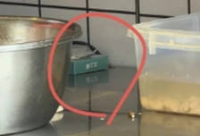 重庆通报“一餐馆厨师在店内使用测试纸”：复测HIV等均为阴性