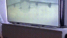 搞笑GIF：自从参加了一次同学聚会，回家后就天天这样看电视