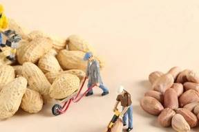 美高梅中国称向佐欠款已还清