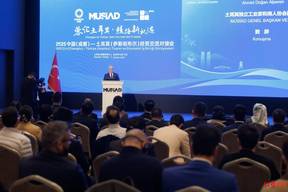 歌手终于炒出新菜了