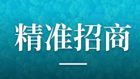 各地设立“砸锅卖铁”专班，招商引资是最有效的开源举措