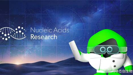 解码功能性RNA！态创在Nucleic Acids Research发表研究成果